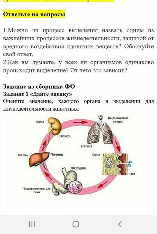 ответьте на вопросы и сделайте 1 Задание