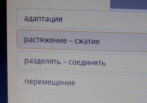 К какому виду метода трансформаций одежды можно отнести латиноамериканскую национальную одежду пончо