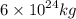 6 \times {10}^{24} kg