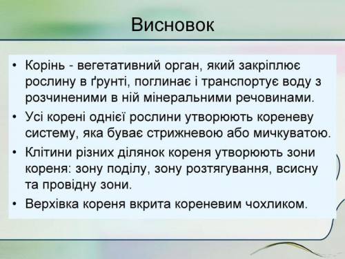 Зробити висновок до теми будова кореня​