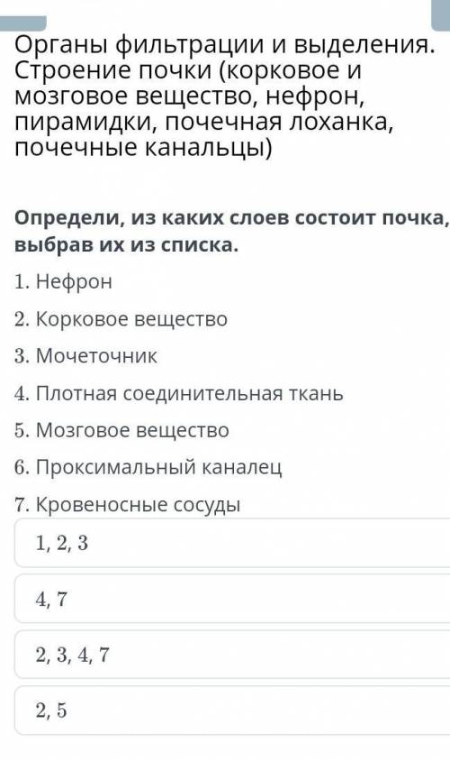 Органы фильтрации и выделения. Строение почки (корковое и мозговое вещество, нефрон, пирамидки, поче