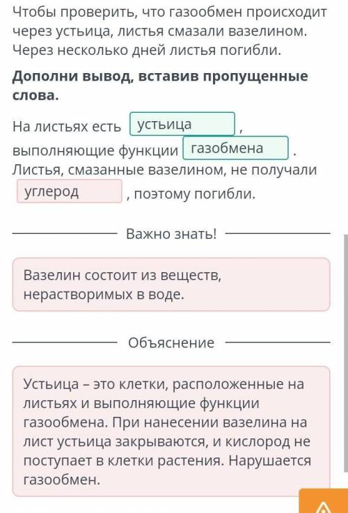 Продукты выделения у растений: начальные и конечные продукты фотосинтеза и дыхания. Лабораторная раб