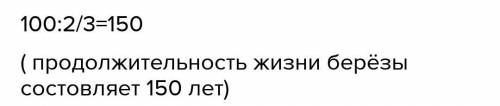 560. Возраст рябины 100 лет, что составляет от продолжительности 3жизни березы. Какова продолжительн