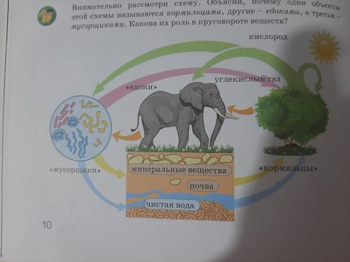 Внимательно Рассмотри схему Объясни почему одни объекты это схемы называются кормильцами другие дака