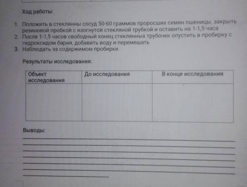 Ход работы: 1. Положить в стеклянны сосуд 50-60 граммов проросших семян пшеницы, закрытьрезиновой пр