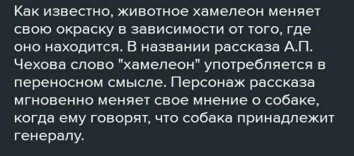 Почему рассказ Чехова называется Хамелеон?