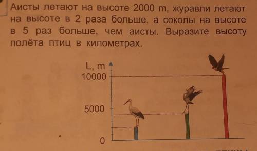 скашите решение и условие​