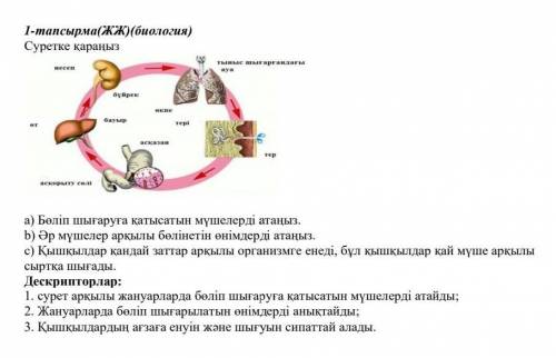 Помагите Мне надо Правильный ответ если не правиль ной тогда не отвечайт​