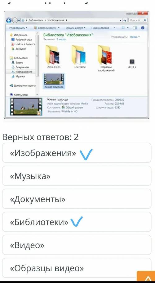 Видеозапись. Урок 1 Верных ответов: 2«Изображения»«Музыка»«Документы»«Библиотеки»«Видео»«Образцы вид