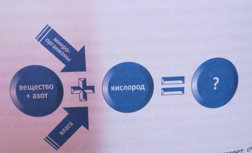 Прочитай информацию о процессе гниения. Дополни схему 5 инфор- машией. Объясни процесс гниения однок