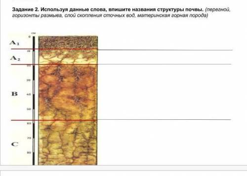 Используя данные слова Впишите название структуры почвы​