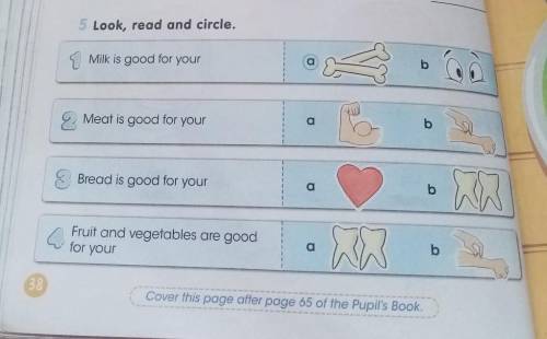 5 Look, read and circle. Milk is good for yourMeat is good for yourabBread is good for yourbQFruit a