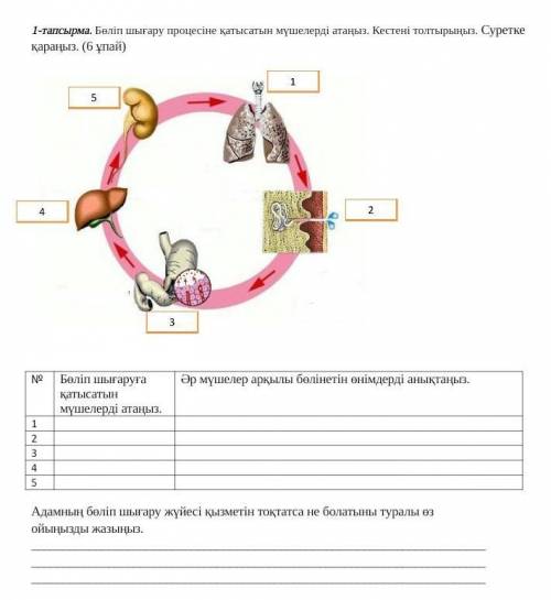 Болип шыгару процесине катысатын мушелерди атаныз. Кестени толтырыныз. Суретке караныз. ​