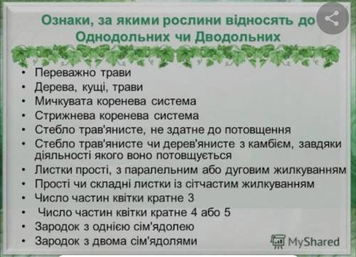 Ознаки , за якими рослину відносять до дерева?​