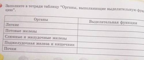 органы:легкие,потовые железы,слюнные и желудочные железы,поджелудочная железа и кишечнек,почки.Выдел