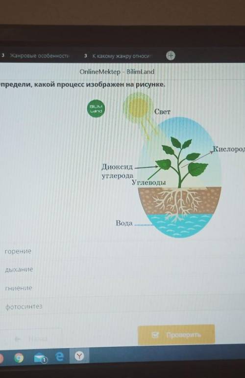 Online Mektep - BilimLand Определи, какой процесс изображен на рисунке.BILIMLaraСветещение веществ в