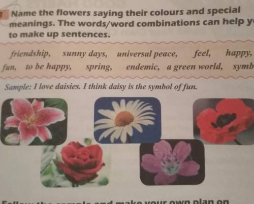 3 Name the flowers saying their colours and special meanings. The words/word combinations can help y