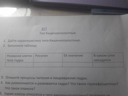 Заполните таблицу второе задание