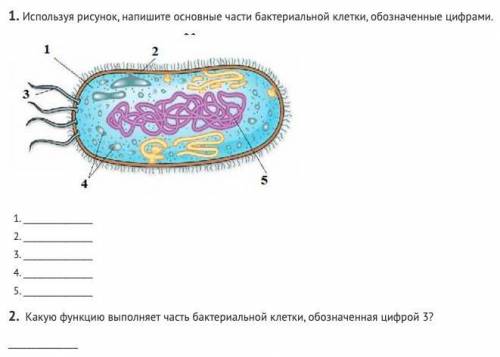 (Скрин с заданием я закрепила)