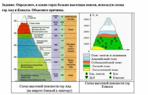Определите, в каких горах больше высотных поясов, используя схемы гор Анд и Кавказа. Объясните причи