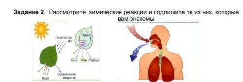 Рассмотрите  химические реакции и подпишите те из них, которые вам знакомы   Задание 2. Рассмотрите