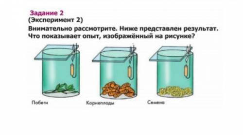 Внимательно рассмотрите. ниже представлен результат. Что показывает опыт изображенный на рисунке?