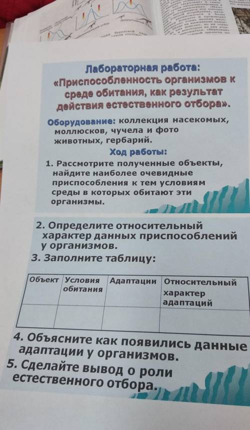 Ковыль и тушканчик. Назвать условия адаптации; адаптации; относительный характер адаптации.​