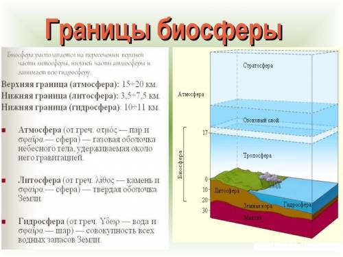 Нарисовать строение биосферы ( указать границы и особенности)