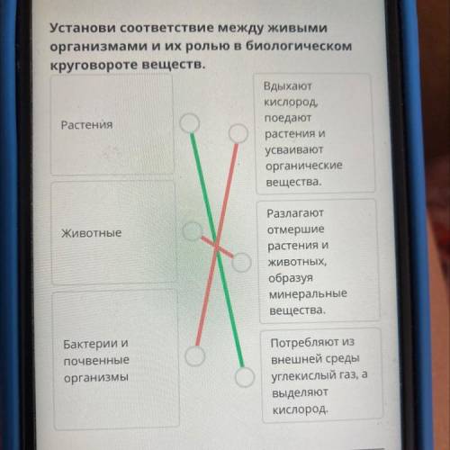 Биосфера и ее составные части Установи соответствие между живыми организмами и их ролью в биологичес