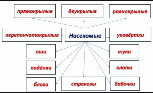 Кластер на тему насекомыеСДЕЛАЙТЕ