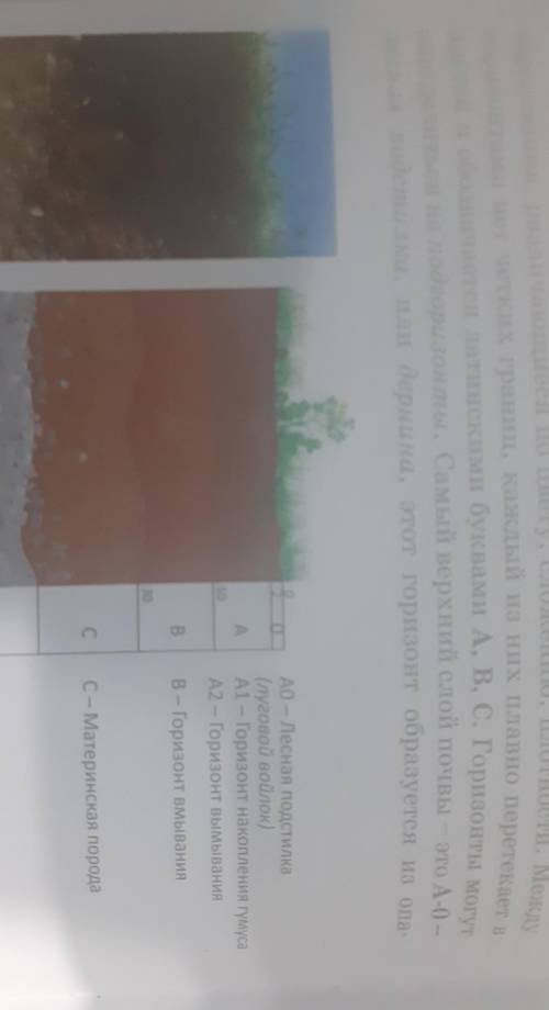 Дайте определение почвенному горизонту используя , охарактеризуйте горизонты почвы..​