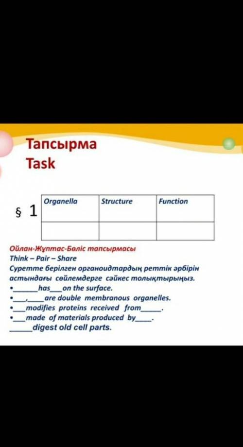 суретте берілген оргоноидтардың реттік әрбірін астындағы сөйлемдерге сәйкес толықтыр даю лучший отве