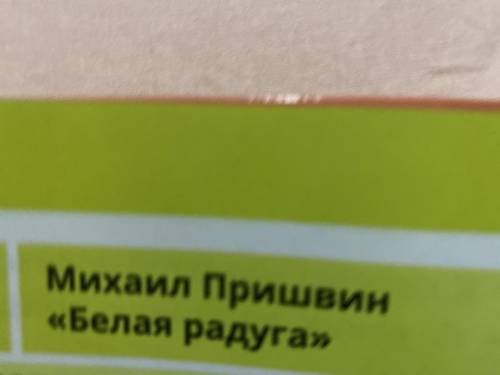 ответь на вопросы по содержанию текста: Кто главный герой произведения? Как звали собаку? Что новог