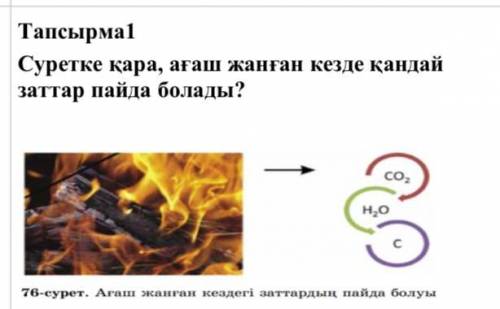 Посмотрите на картинку: что происходит, когда горит дерево?