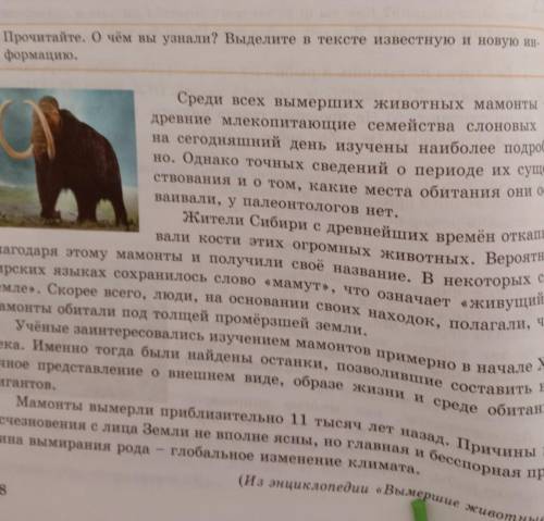 4. Составьте 1 «тонкий» и 1 «Тол-стый» вопросы к 1-му и 2-му аб-зацам текста.