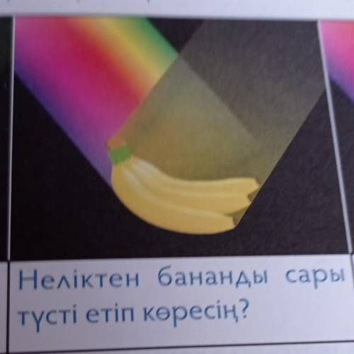 Неліктен бананды сары | Гүлдің түсі қандай? Отүсті етіп көресің? түсін қалай ажыраттын​