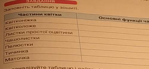 Заповніть таблицю у зошиті. Частини КвіткиОсновні функції частин квіткиКвітконіжка:КвітКоложе:Листки