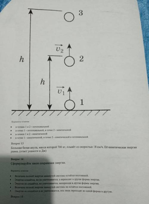 Физика. Тесты. Делайте всё по порядку.