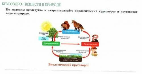 КРУГОВОРОТ ВЕЩЕСТВ В ПРИРОДЕ