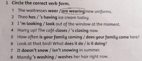 Circle the correct verb form