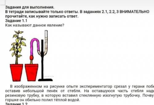 Как называют данное явление? ​