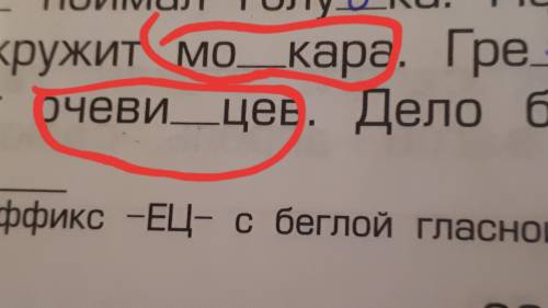 ПАМАГИТ! НУЖНА Буду благодарна:Какие буквы нужно вставить?