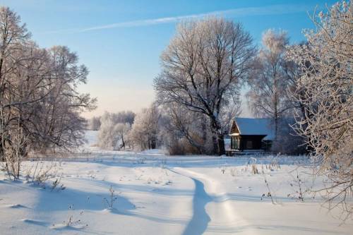 Яблони цветут. Я очень люблю весну. Люблю пробуждение природы, тонкий аромат нежной листвы и травы,