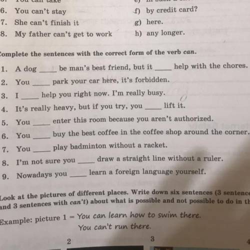 Complete the sentences with the Correct form of the verb can