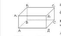 Как расположены прямые AB и D1C1, DC и BB1, DD1 и CD​