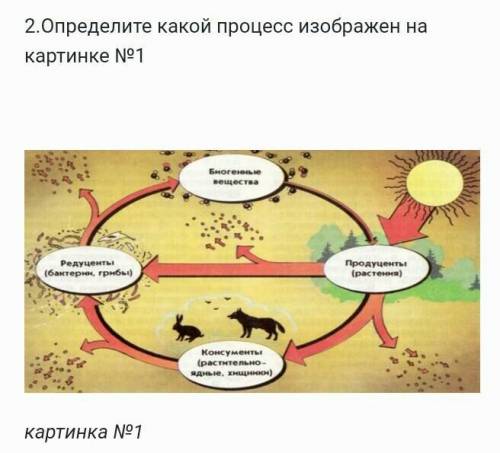 Определи какой процесс изабражен на картинке