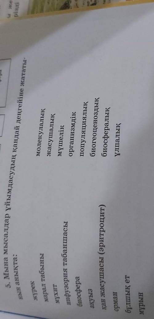 4. Таңдағанбиоценоздысипатта.Онысыныпқаұсын.а)логикалықтізбектегібосжердімысалментолықтыр;алдыңғыбар