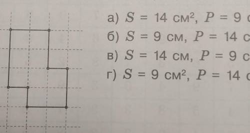 Считая длину одной клетки равна одному сантиметру найдите площадь и периметр прямоугольника представ