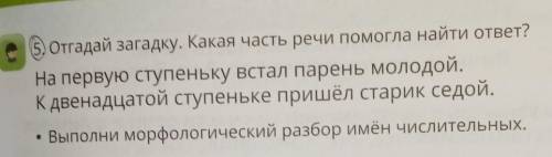 5. Отгадай загадку. Какая часть речи найти ответ? На первую ступеньку встал парень молодой.К двенадц