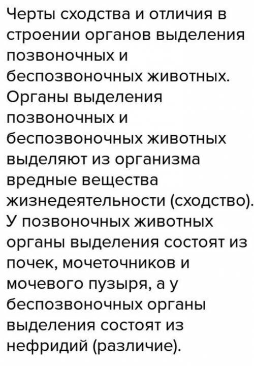 2. Укажите черты сходства органов выделительных систем позвоночных животных​